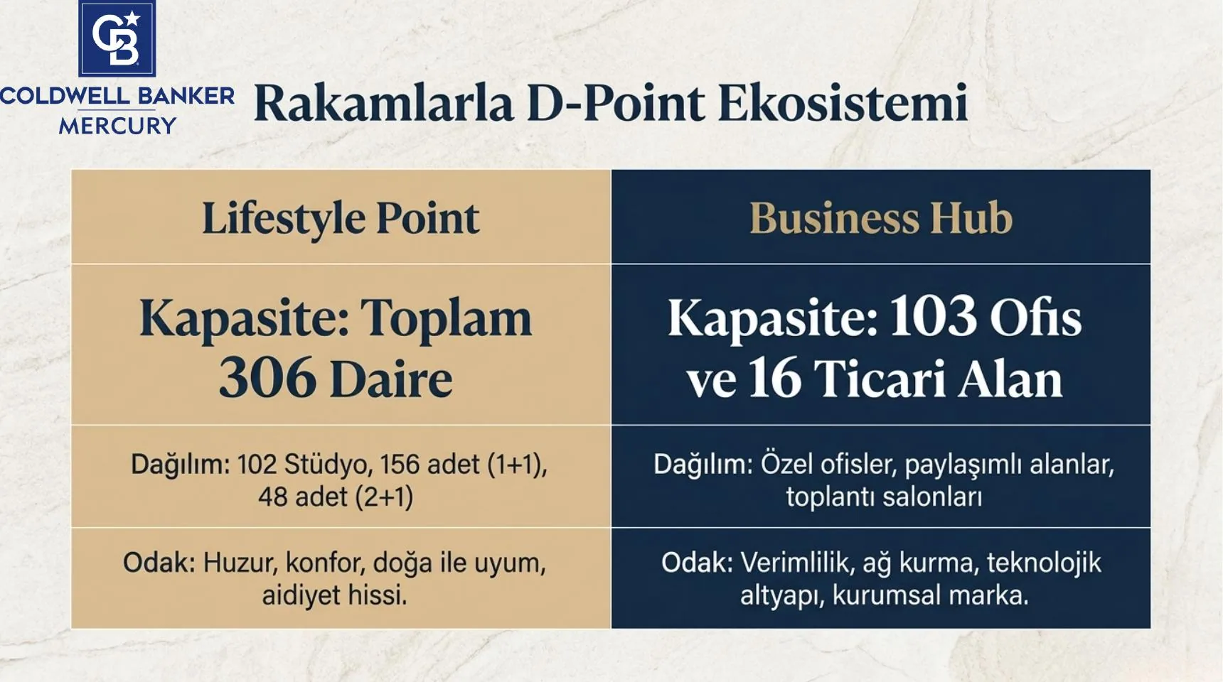 D Point görsel 5