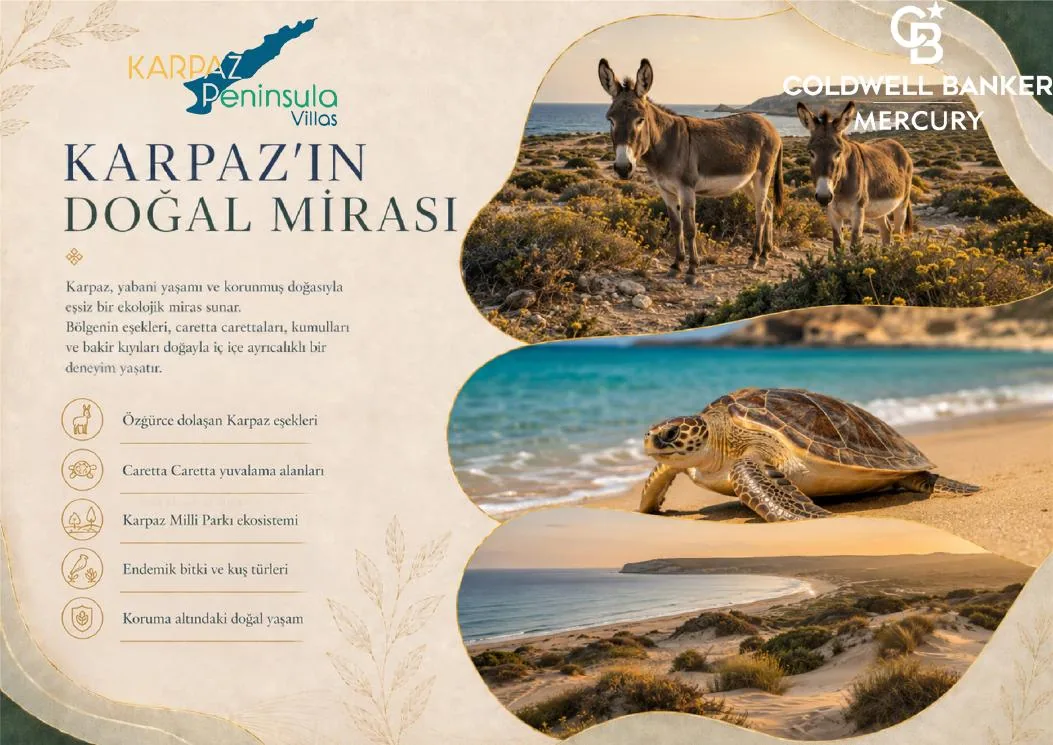Karpaz Peninsula görsel 7
